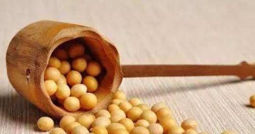 女性爱美，推荐坚持吃以下食物，美容祛斑，补益气血，营养又瘦身