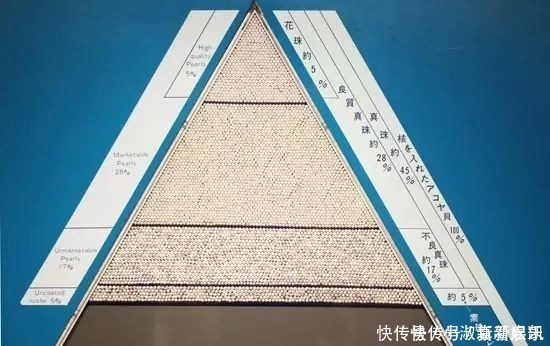 珍珠|亲临MIKIMOTO珠宝基地,揭秘顶级珍珠诞生的背后真相