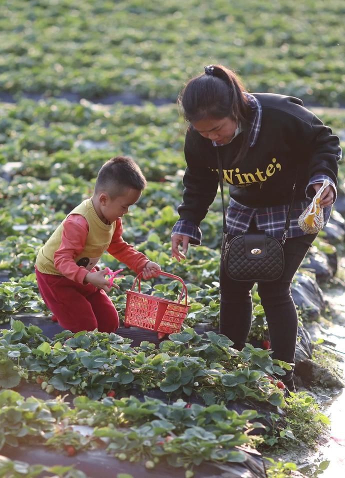 中年|春节假期怎么过？一起来看玉林侬的花样玩法——