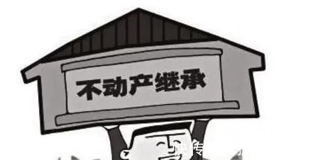 遗嘱|血缘和继承“脱钩”,宅基地继承和买卖政策,会“放松”吗