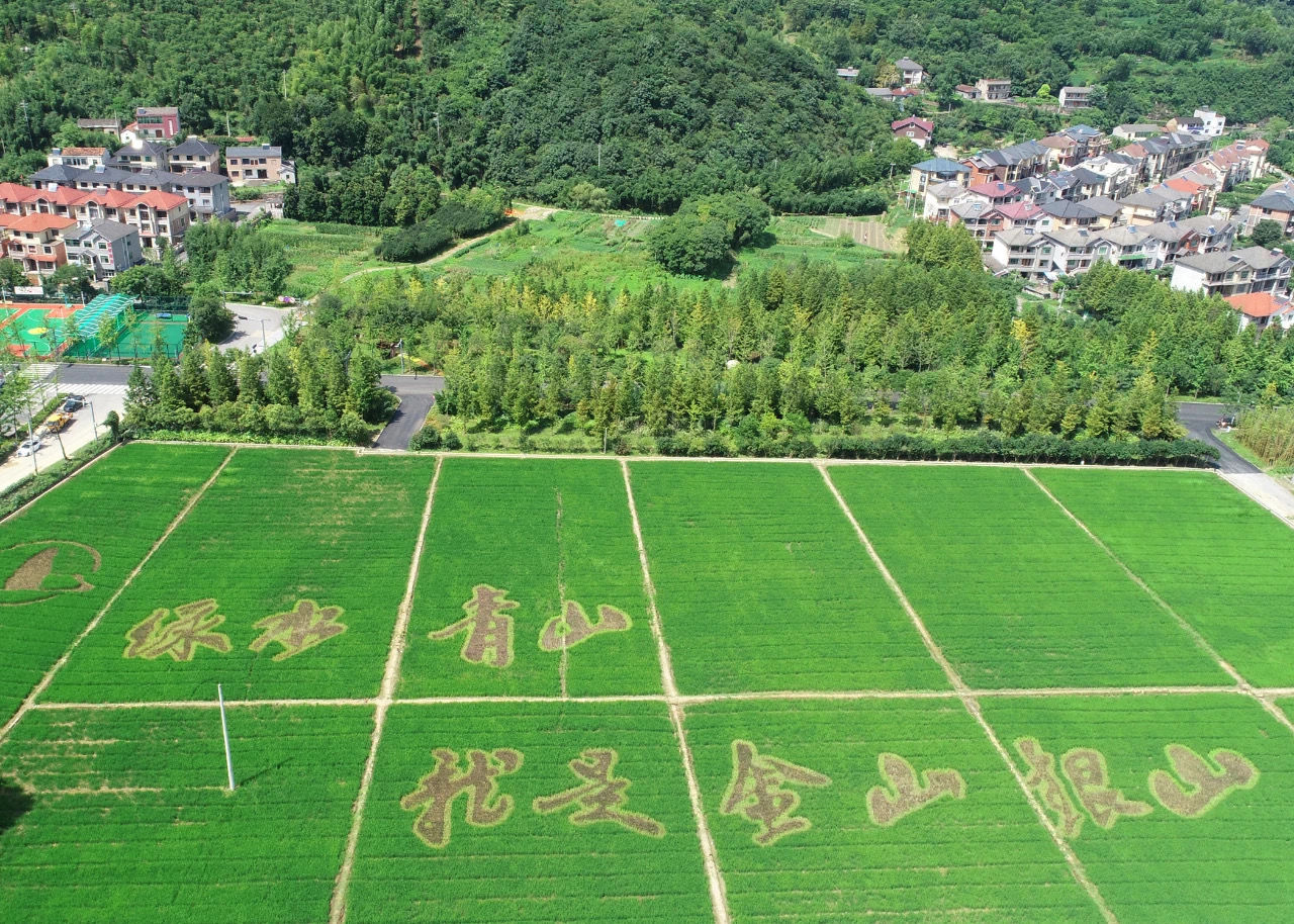 余村|世界级荣誉！安吉余村入选首届联合国世界旅游组织最佳旅游乡村