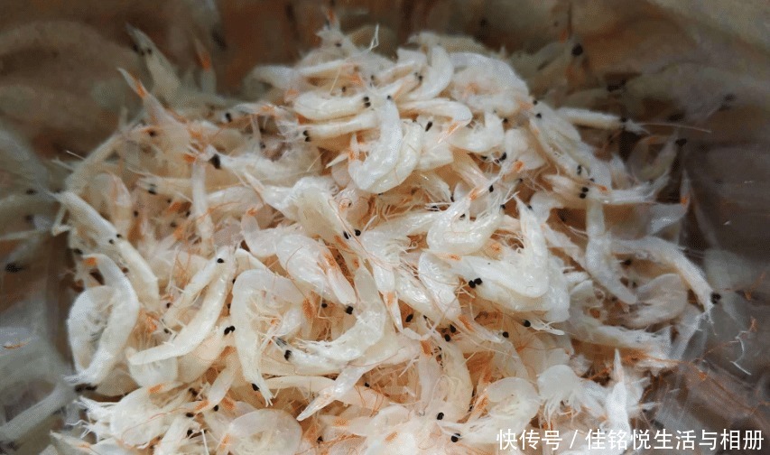 少许|同是虾皮,选“白色”还是“浅红色”摊主告诉你,别再乱买了