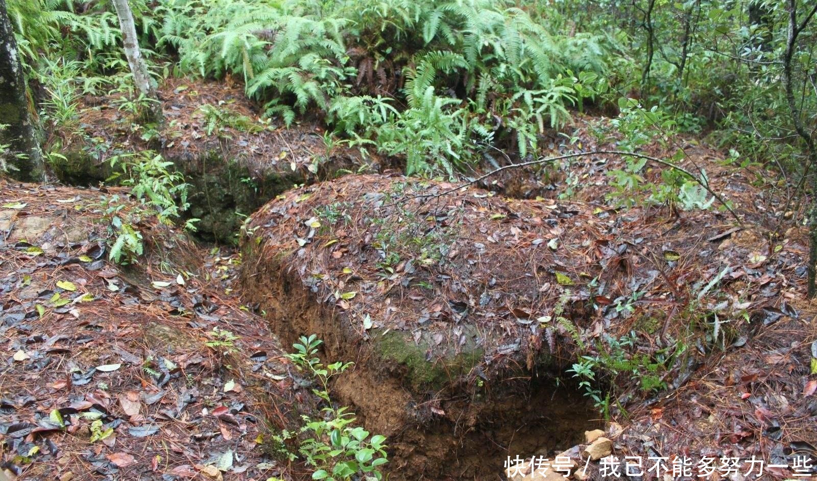 战争|距离松山战役60年后，一村民不幸成为二战最后的受难者