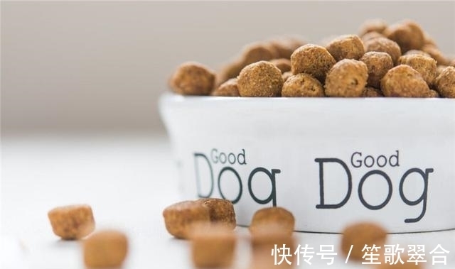 成年犬|缺钙不是老年犬的特有,成年犬也会缺钙,主人要知道怎么补