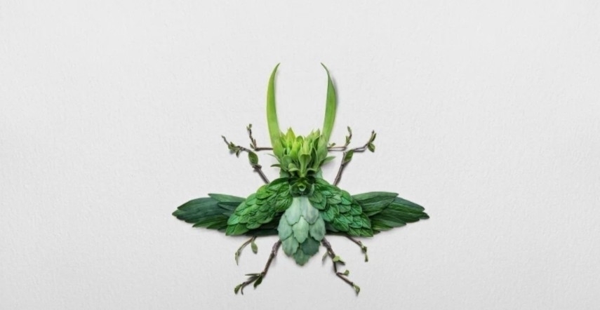 树叶$他拿花瓣、树叶随便一剪一贴就卖23万!网友:买过的人都说“值”