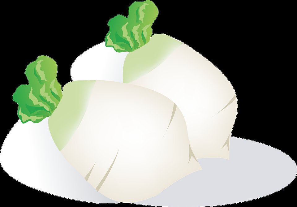 血液粘稠|冬季健康饮食