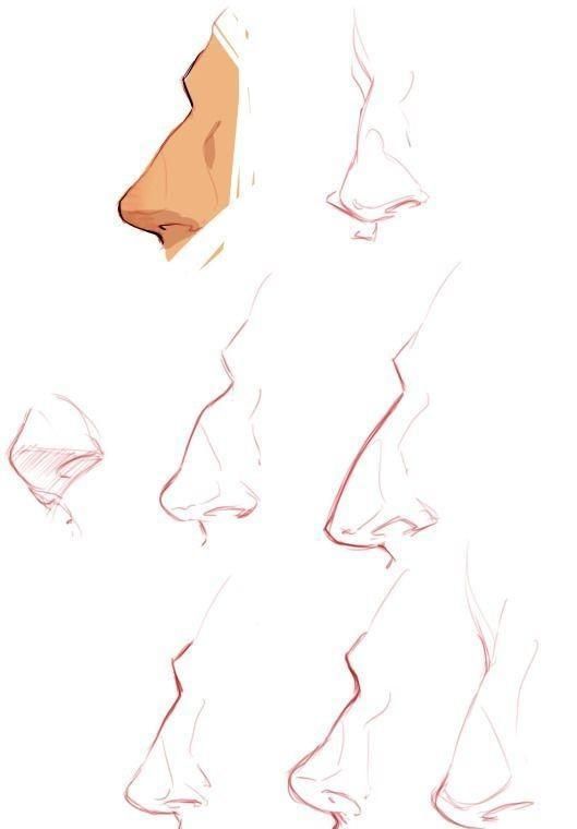 人类|绘画素材 ▏画师分享的各种人类鼻子的画法