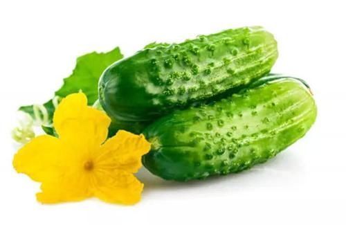 购买黄瓜时，该挑直的还是弯的老菜农记住这几点，就不会买错