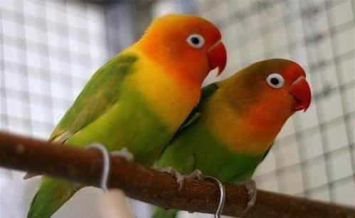 曾国藩酒桌出一题,此人借用一物让自己顺利过关,一句话平步青云