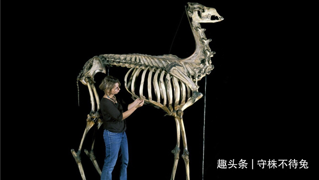 24个冷知识或许也曾知晓，但却没有深入了解的奇怪知识