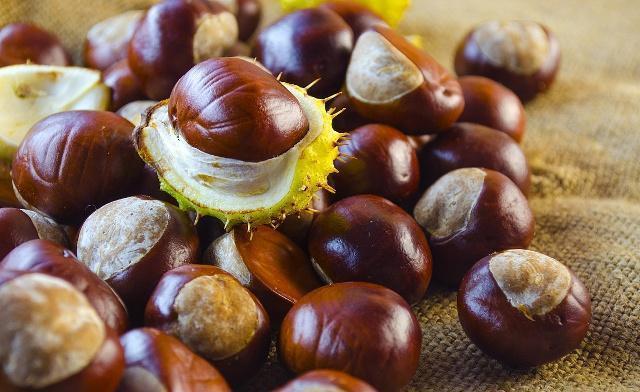 芝士|想要瘦身成功,四黄莫贪吃,不然堪比“喝油”,别再傻傻犯错