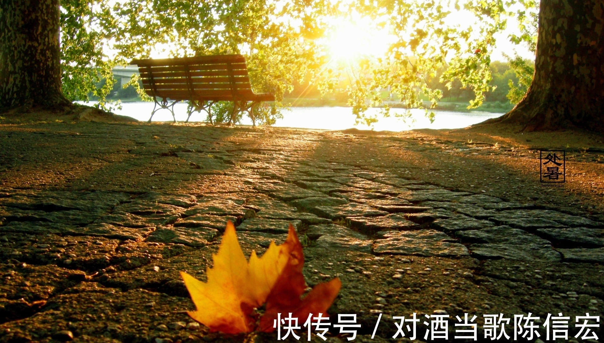 春思$范成大写在惊蛰的《秦楼月》:远景是春色如许,近景是春思绵密