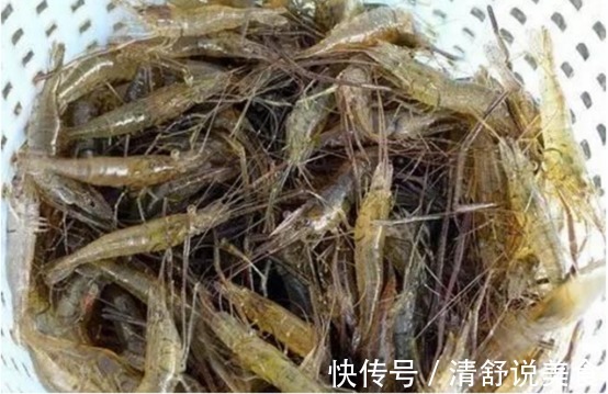 那些乡村野味,你吃过多少太美味了