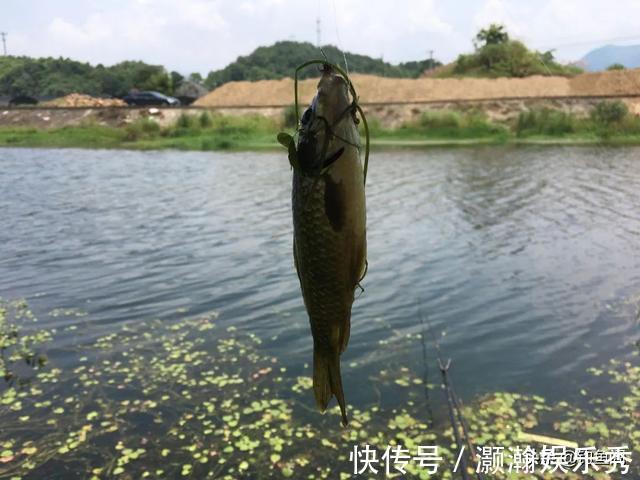 水草|进入深秋,老钓手都喜欢选这三种钓位,容易出大板鲫