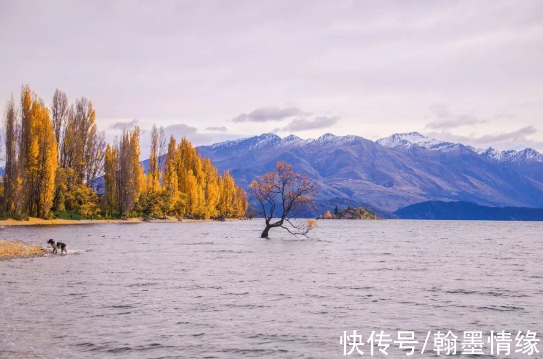 秋天|柳永词里的秋天，令人心醉，那么美，又那么伤