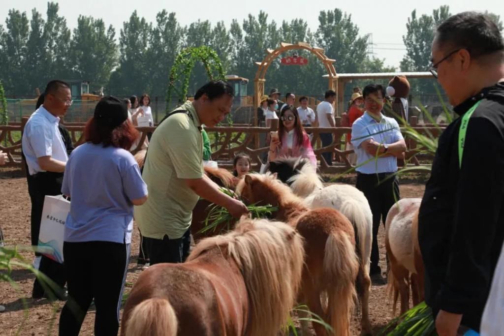 乐园|六一好去处首批客人预热花仙谷抢鲜城市新乐园