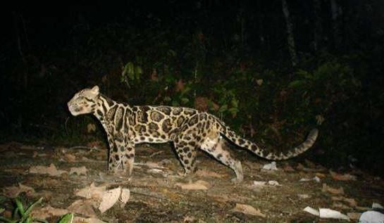 事情 最担心的事情还是发生了！地球警告：保护环境迫在眉睫