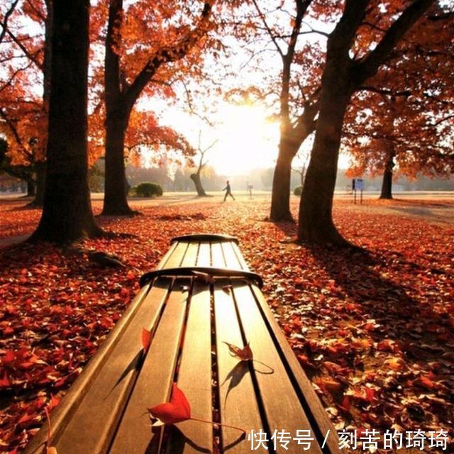 秋风&风婉约,雨薄凉,秋思缱绻秋韵静