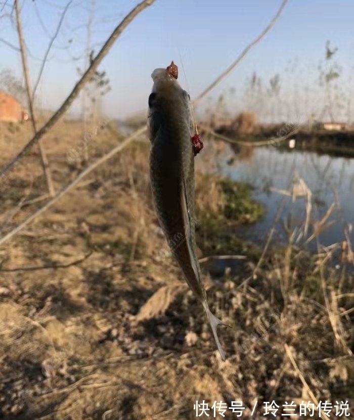 钓鱼正口的预判