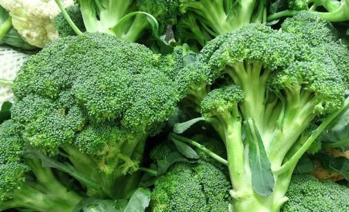 效果|西兰花营养丰富又防癌，但你肯定不知道，西兰花配上它效果翻倍！