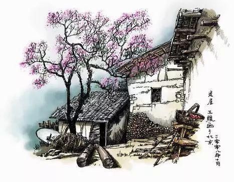 极品六大钢笔画,我是一张张跪着看完的,简直美爆