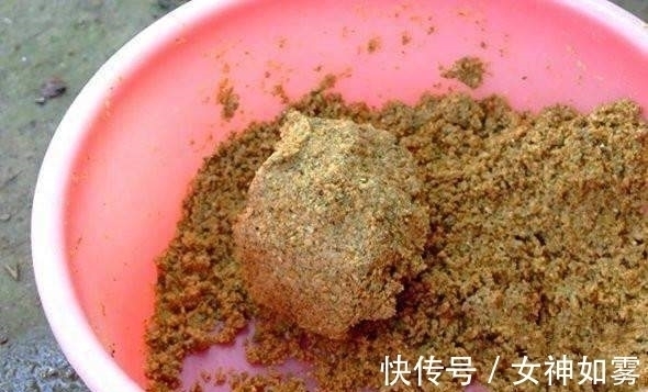 钓友|告别一学就会一开就废，只要掌握这几点，小白开出的饵料也能连杆