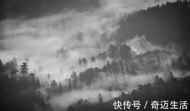 陆凯#诗词丨史上最美的8首短诗,首首经典,谁读了都会心醉