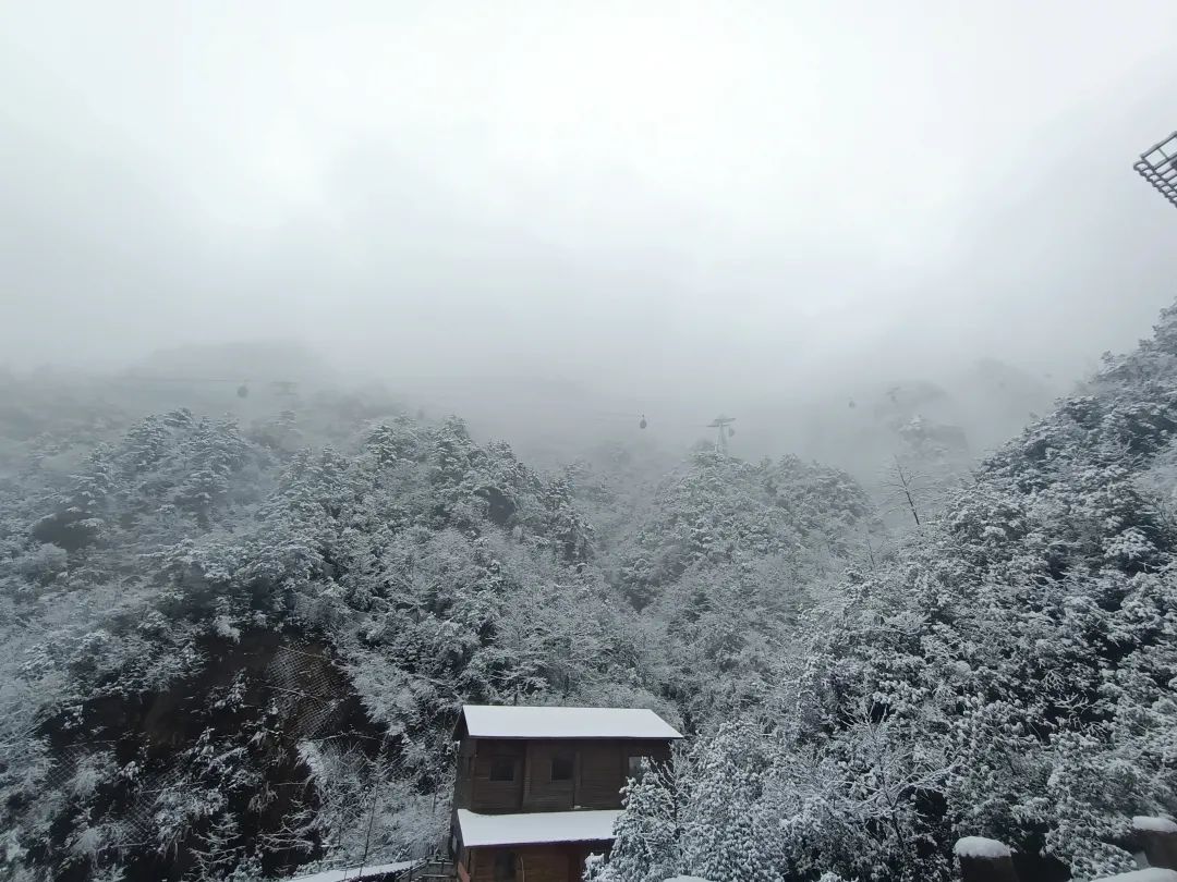 气温|杭州，雪！宁波，雪！绍兴，雪！可能要下到……太刺激了！