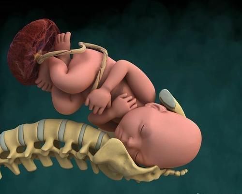 双顶径|胎儿双顶径为多少时可以生产了?需要注意什么?