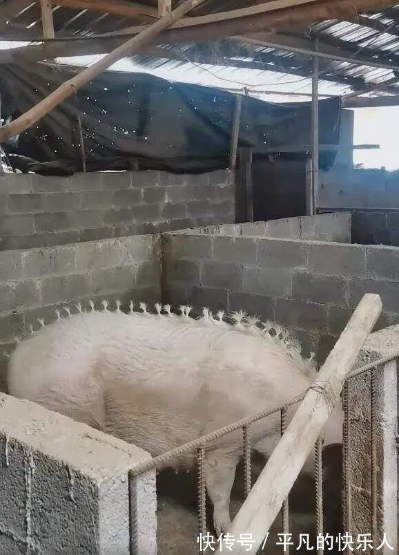 |今日段子：竟然还有人反向烤火？难道不怕烧到屁股吗？