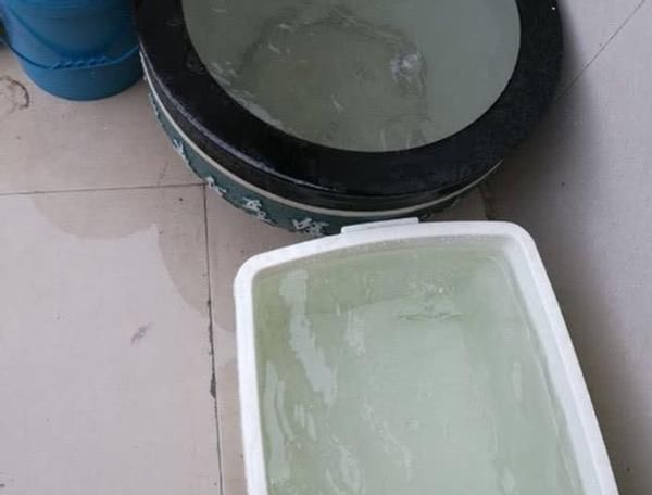 在此说说，多年养花使用过的“浇水”方法