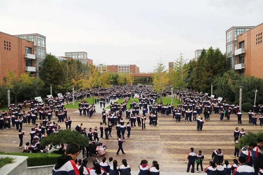 体育|师生同参与峡山二七一实验初中举行第六届体育美食节集中活动日