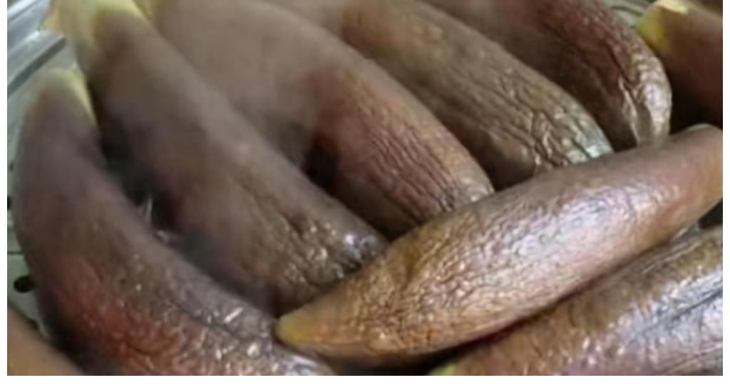 保鲜盒|5斤茄子，不炒不炸，换个“新吃法”，又香又入味，全家人都狂赞