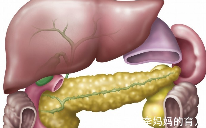 肝脏|肝囊肿的出现,多半与3个原因有关,医生提醒:或许很多人不清楚