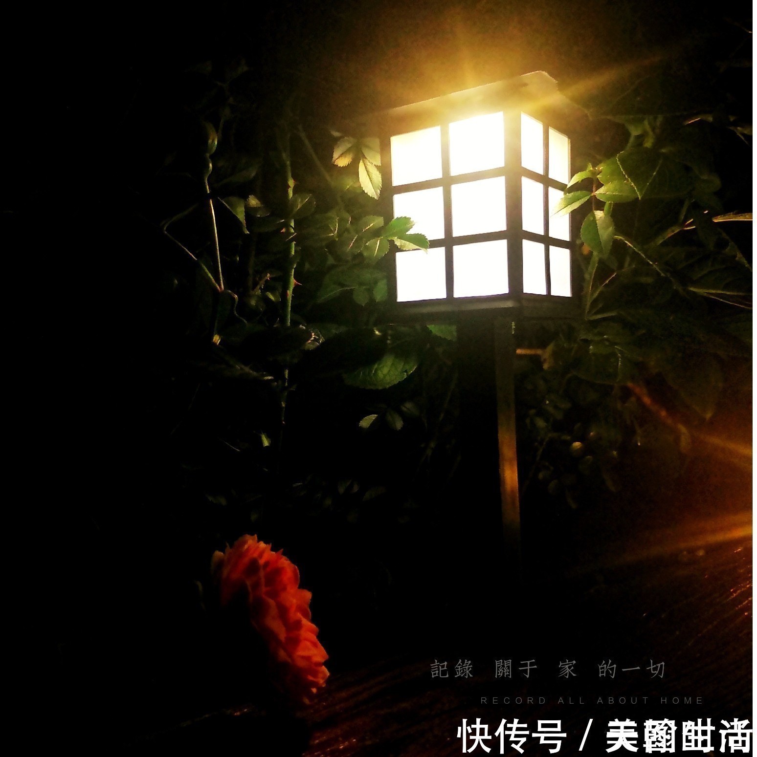 城市|在城市近郊买个40㎡的院子，闲暇时种种花草做做美食，惬意啊！