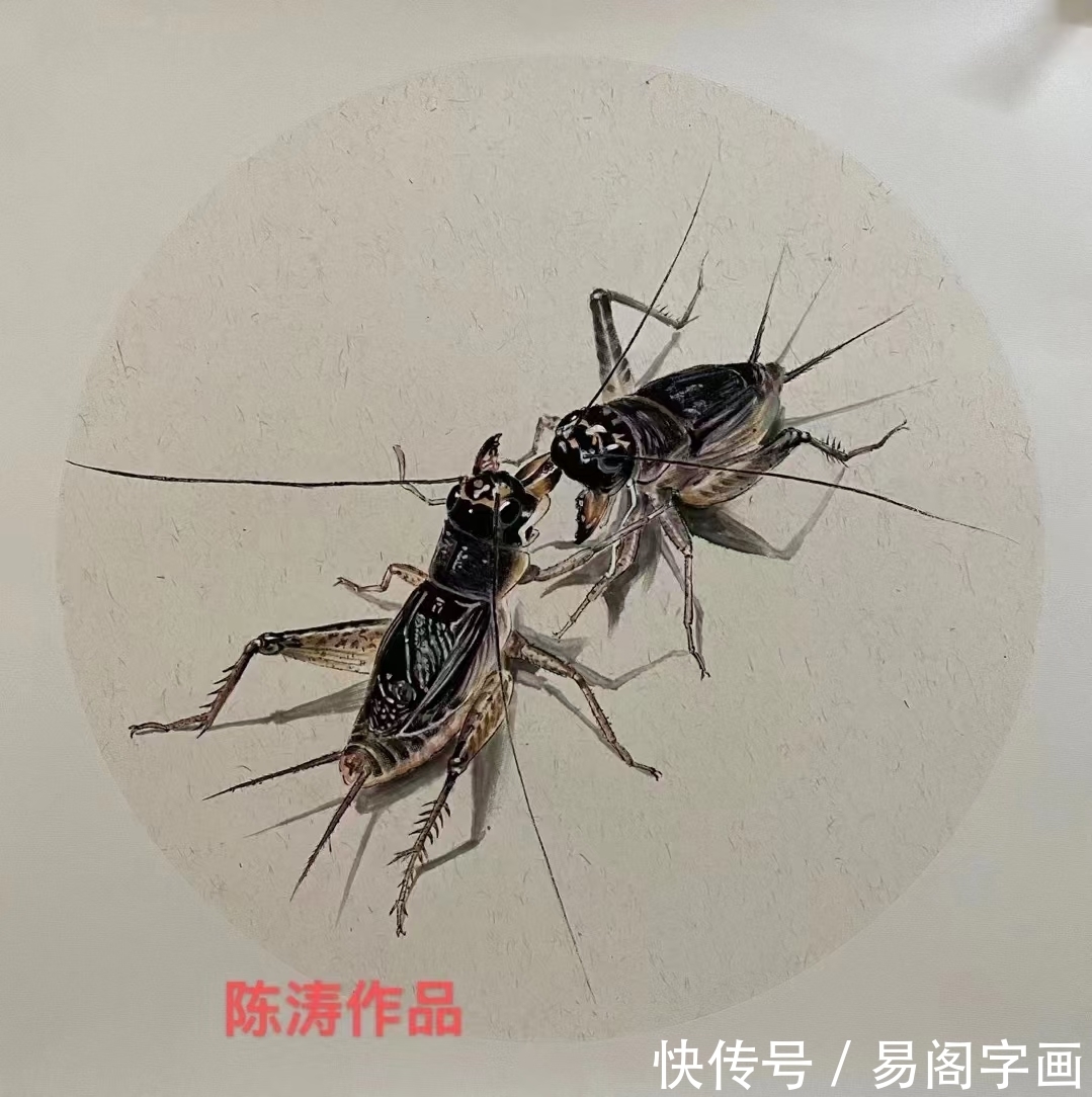 陈涛$画家陈涛 立意新与奇 笔墨随时代
