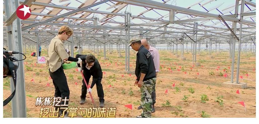 王迅|虞书欣被聘沙漠环卫工？ 《极限挑战宝藏行》良心公益该有的亚子