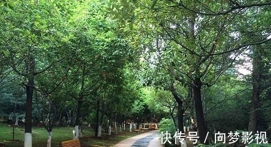 宝地|云南一处“养老宝地”，风景优美空气质量高，发展不差物价还低