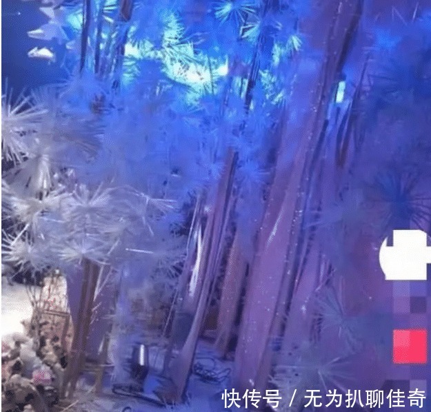  冰雪|婚礼现场塞满“廉价塑料”遭嫌, 开灯后惊现“冰雪奇缘”幻境!