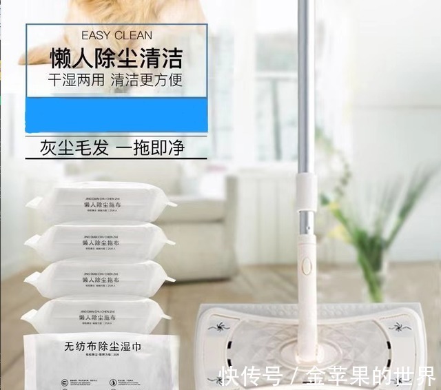 屋里两三天没有打扫就会出现很多“毛毛”，这是怎么一回事！