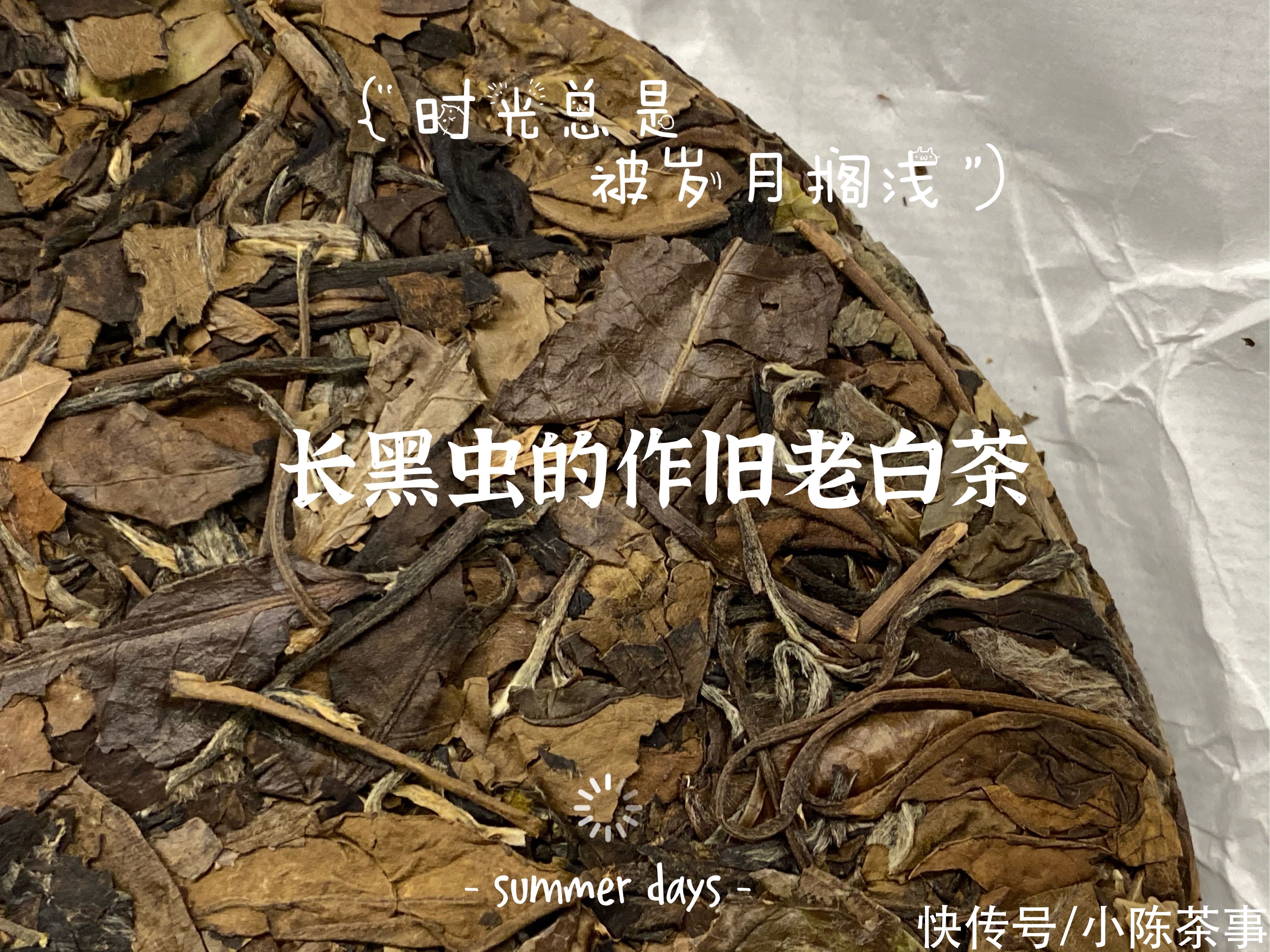 梅子味|如何光明正大卖掉堆积的劣质白茶？掌柜有新套路，已经骗了不少人