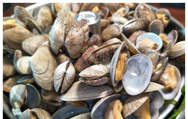 鲜香|煮花甲是冷水下锅还是热水下锅？这样做鲜香无腥味，又嫩又好吃