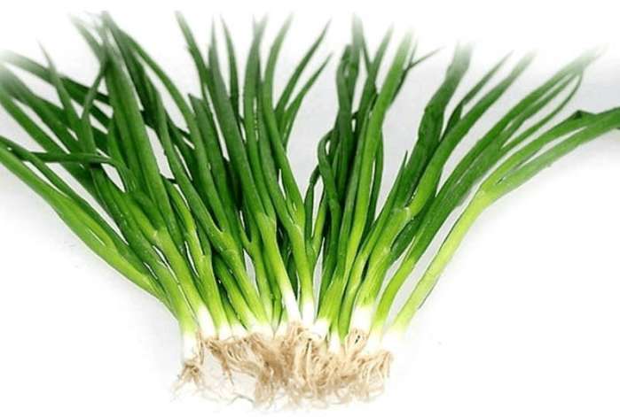 消化性溃疡|赤脚医生1个偏方，提高胃动力，赶走幽门螺杆菌，10年胃病被治愈