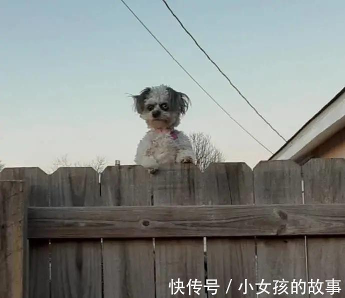 |【被窝段子20210910】好听的话别当真,难听的话别较真,认真你就输了