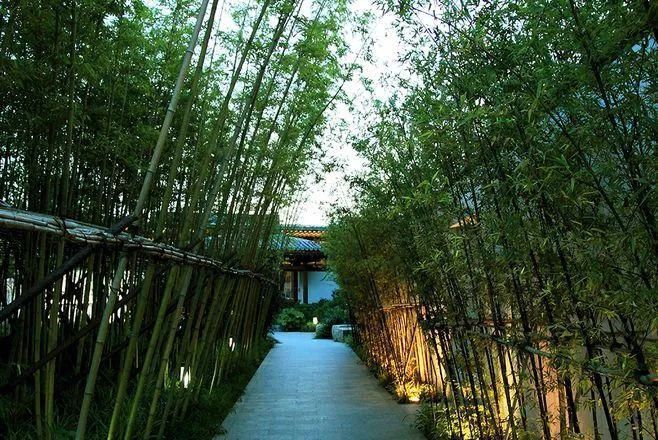 等我老了以后,找个小院陪你养花种菜!