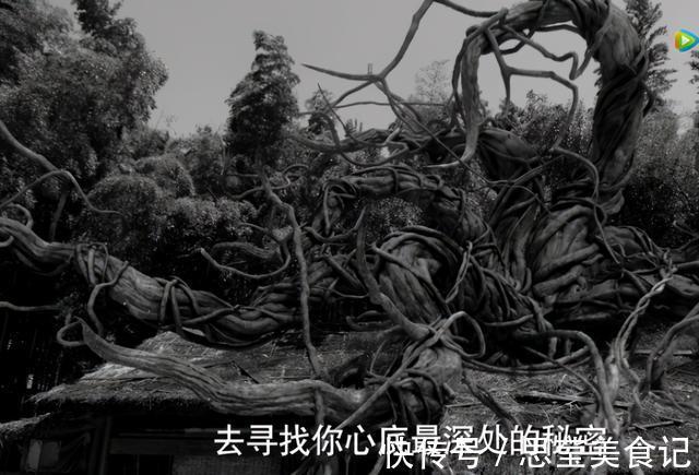 孤魂野鬼|斗羅大陸劇版取消穿越，唐昊會唐門絕學，鬼斗羅慘變孤魂野鬼