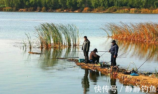 立冬过后,怎样选择钓位?掌握了这四点,才是收获满满的关键