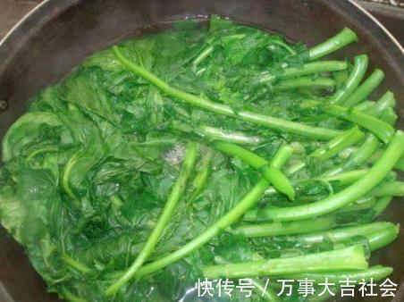 叶子|牛奶鸡蛋靠一边，它是“补钙之王”，可惜太多人不懂，被当成废料