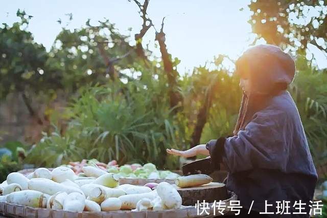 李子柒腌泡菜视频,被韩国网友围观,奇思妙想的脑回路