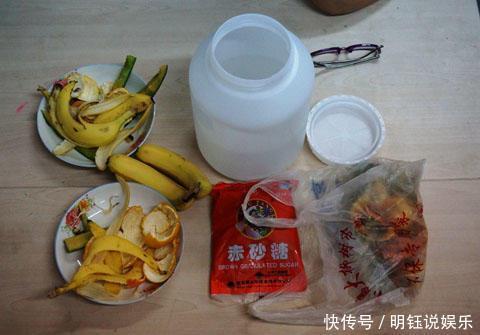 栀子花茉莉花最爱“酸水”,半个月来一次,疯狂开花也没黄叶